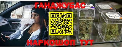 хмурый Бийск